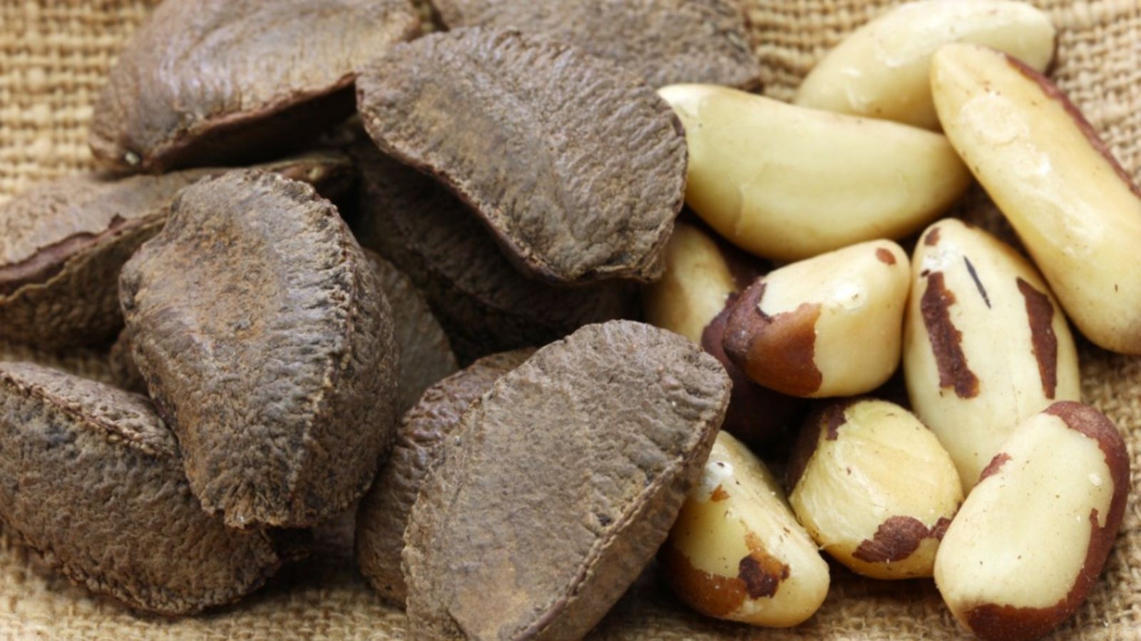 Brazil Nut - Raw Brazil Nuts